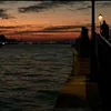 al1997_a