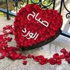 user6118976720178