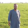 elsayed534