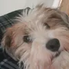 mampucho