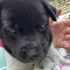 nhuhuynhctewa
