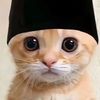 usermimiperii_