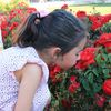 maram_arbasha