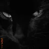 mayah_61