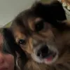 mhleny7