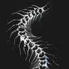 jadenfisher0111