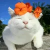 irysik63