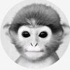 kyle_hanson_