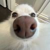 elliebelliejellysmellie