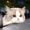 tonynguyen994