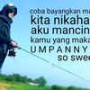 Hilya 29 Cell