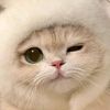 sptembrrrr_