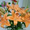 thyhuynh034