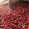 coffeebook49