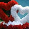 user977367832527093