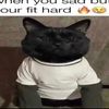 larryluvstein