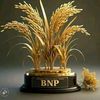 🇧🇩🌾🌾B🌾N🌾P🇧🇩🌾🌾