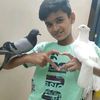 user146447776