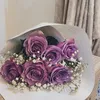 kurdmmm24