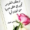 user78572156536332