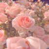 strawberry_dreams09