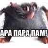 lezhatplyussosat