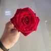 mdafzalhossain837