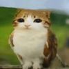 ruxi_
