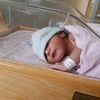 rizwanakhaled1