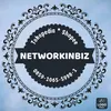 networkinbiz