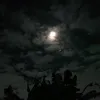 ar_dea118