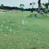 13koqa