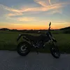 laura_pichler08