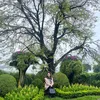 hoaly_trang