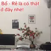 bachlocshop.com