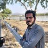 zaib79541