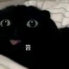 maroozzang