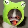 cutendkskals