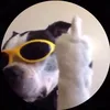 ztieudaodu