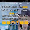 lifeline55677
