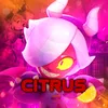 citrusthebs