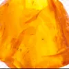 ambertiktokamber
