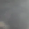 onlyzarvex