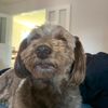 toby_2306