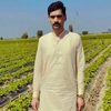 adeelvirk26