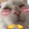_jajanose_