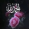 aminam130