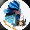 Pangauban_betta_fish