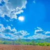 _thaoseohai_
