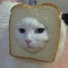macchiatobizkit